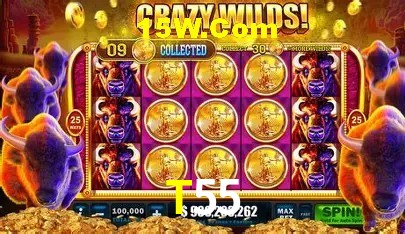 T55 Belo Horizonte - Basketball