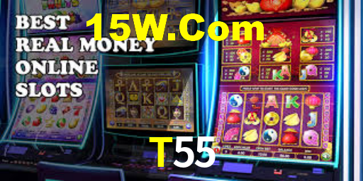 Explore as vantagens do T55: serviço profissional e confiabilidade