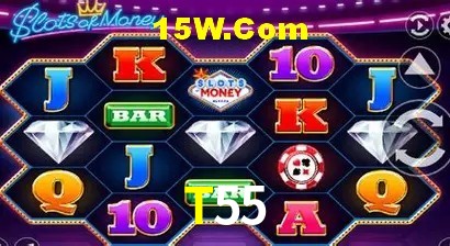 Ofertas Exclusivas T55