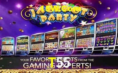 T55 - User Statistics