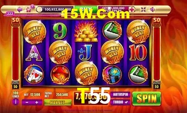 T55 Salvador - Support