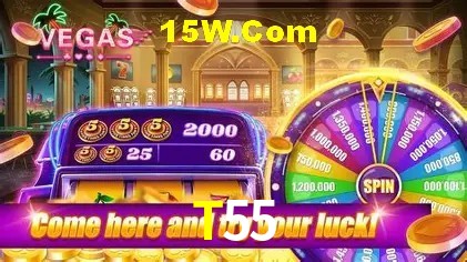 Sistemas de Segurança T55