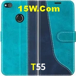 Promoções Sazonais T55