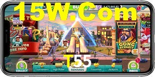 Sports Statistics T55